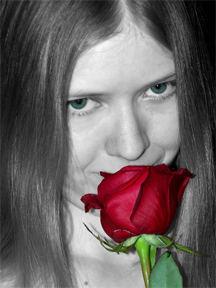 rose smell