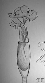 glads in vase